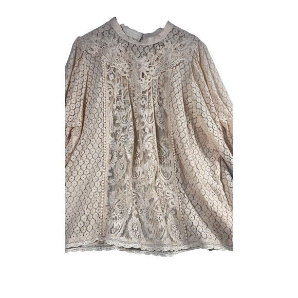 Torrid Mixed Lace Victorian High Neck Sheer Blouse – Plus 3X - Picture 8 of 12